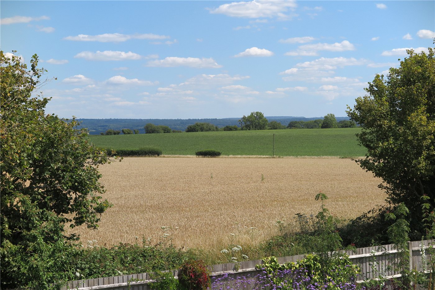 Picture No. 5
